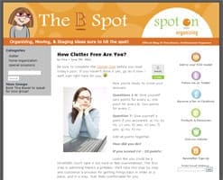 Custom WordPress theme for Spot on Organizing Blog