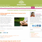Another Professional Organizer Joins the Blogosphere