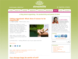 Streamlife blog