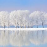 Reflection and Planning – December 2012 Professional Organizers Blog Carnival