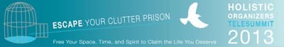 Escape Your Clutter Prison Holistic Organizers Telesummit