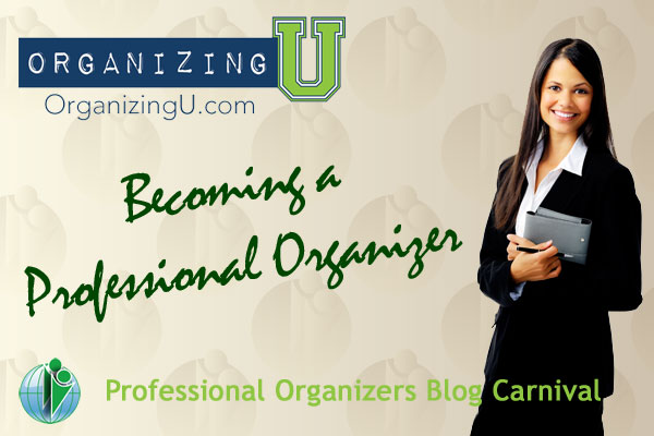 Becoming a Professional Organizer - Professional Organizers Blog Carnival