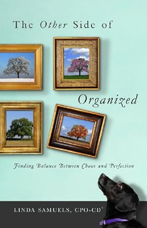 Cover of The Other Side of Organized by Linda Samuels