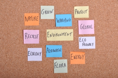 environmental concepts on bulletin board