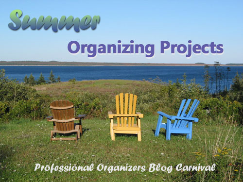 Summer Organizing Projects – Professional Organizers Blog Carnival