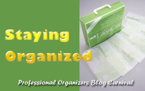 Staying Organized – Professional Organizers Blog Carnival