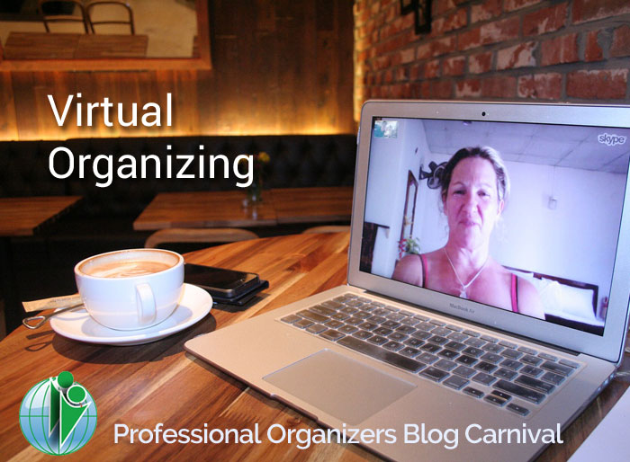 Virtual Organizing - Professional Organizers Blog Carnival