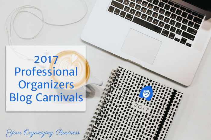 Professional Organizers Blog Carnival: 2017 in Review