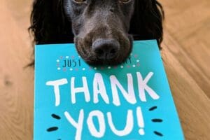 Photo of a dog with a THANK YOU card in his mouth